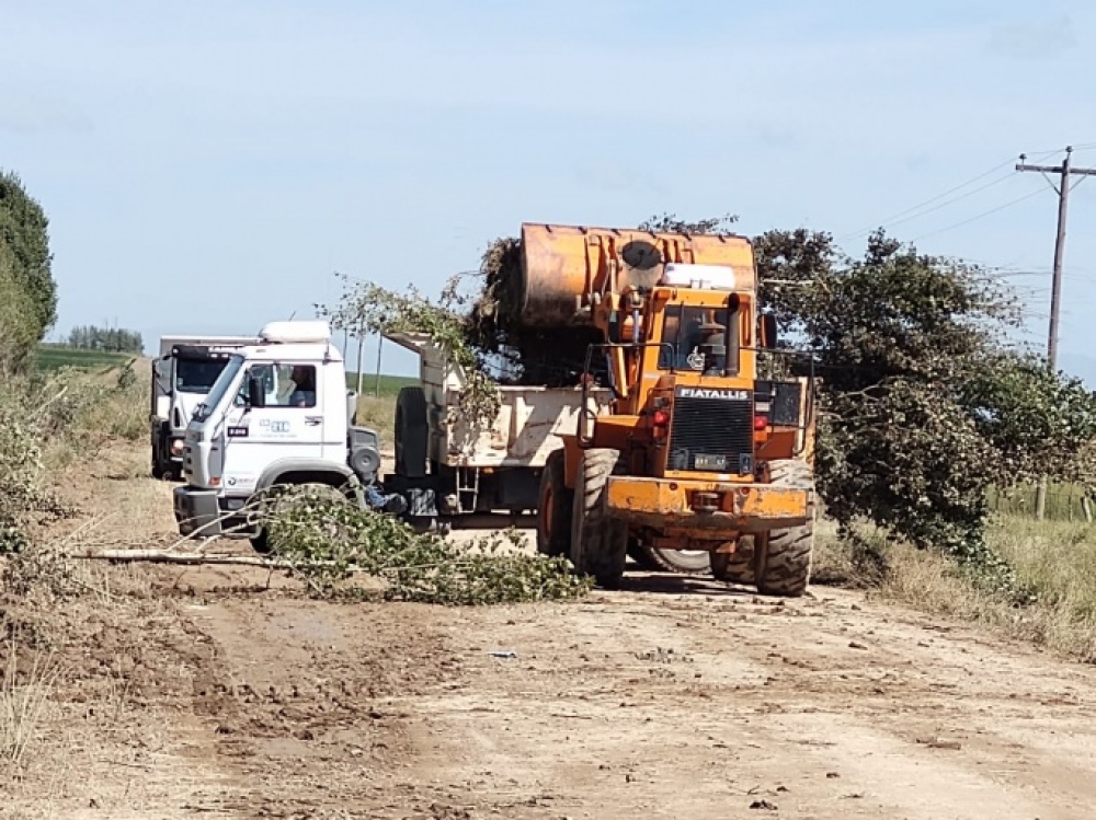 Los caminos rurales y su transitabilidad de cara a los meses de cosecha
