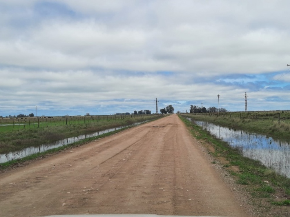 Los caminos rurales y su transitabilidad de cara a los meses de cosecha
