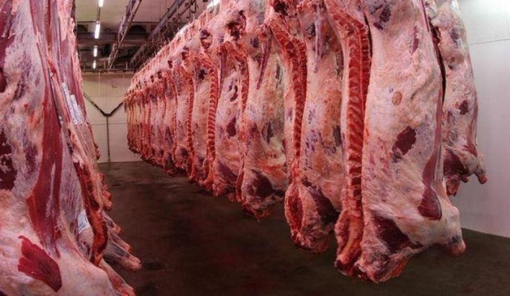 El análisis de un eslabón de la cadena productiva de la carne luego de la reapertura de las exportaciones a China
