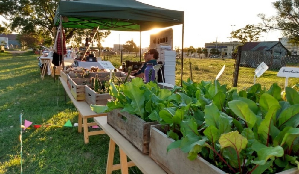 Feria de la Horticultura: 22 años promocionado el trabajo de emprendedores locales
