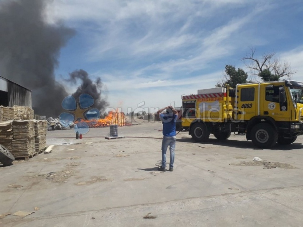 Un incendio voraz arrasó un aserradero en Saldungaray
