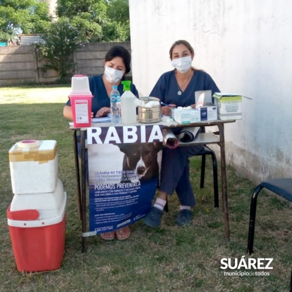Se aplicaron 118 dosis gratuitas de vacunas contra la rabia en el CAPS de Barrio San Martín
