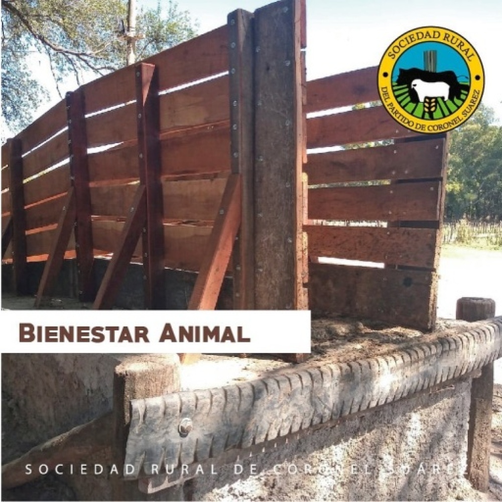 La Sociedad Rural de Coronel Suarez renovó sus cargadores de hacienda para cumplir con los nuevos estándares de bienestar animal
