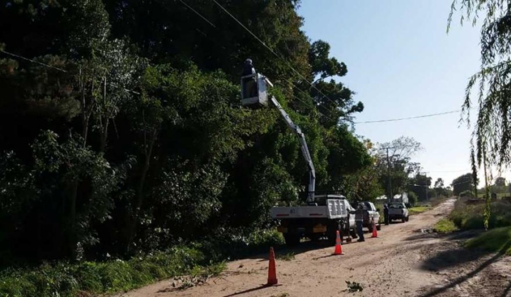 La Cooperativa Eléctrica “San José” difundió el cronograma de cortes de energía para mayo en zona rural por trabajos de poda
