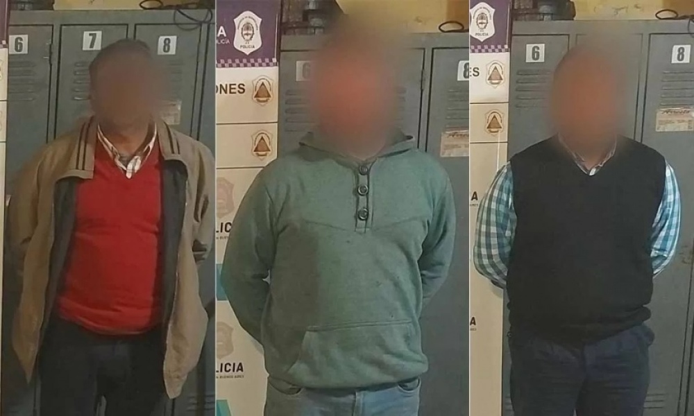 Tres detenidos por robar un avión en Pigüé: apareció en un campo de Origone
