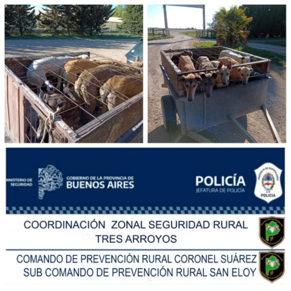 La Policía Rural desarrolló varios operativos durante las últimas horas
