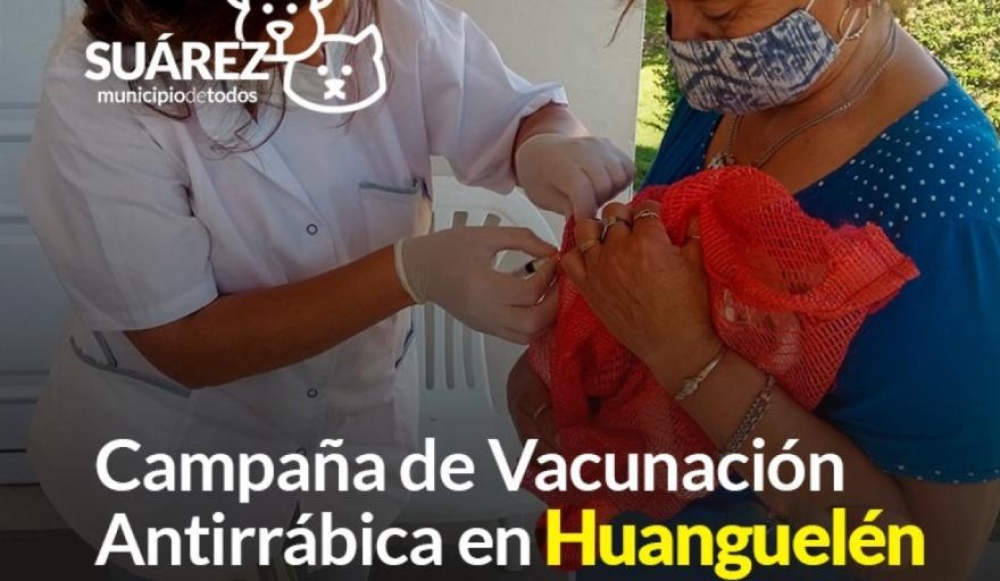 Habrá una campaña de vacunación antirrábica en Huanguelén por un caso de murciélago con rabia
