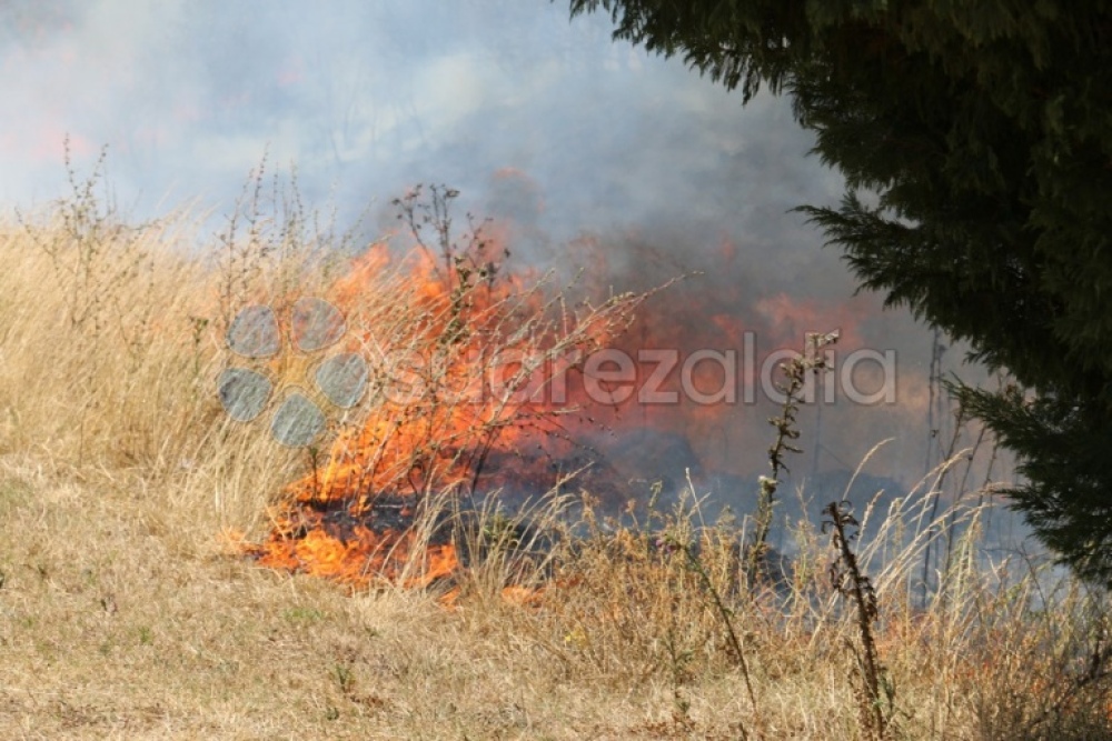 Un incendio forestal afectó varias hectáreas de campo en cercanías al casco urbano de Coronel Suárez: el fuego a metros de las casas
