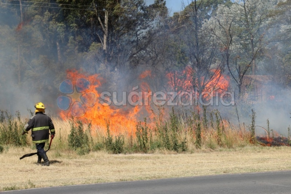 Un incendio forestal afectó varias hectáreas de campo en cercanías al casco urbano de Coronel Suárez: el fuego a metros de las casas
