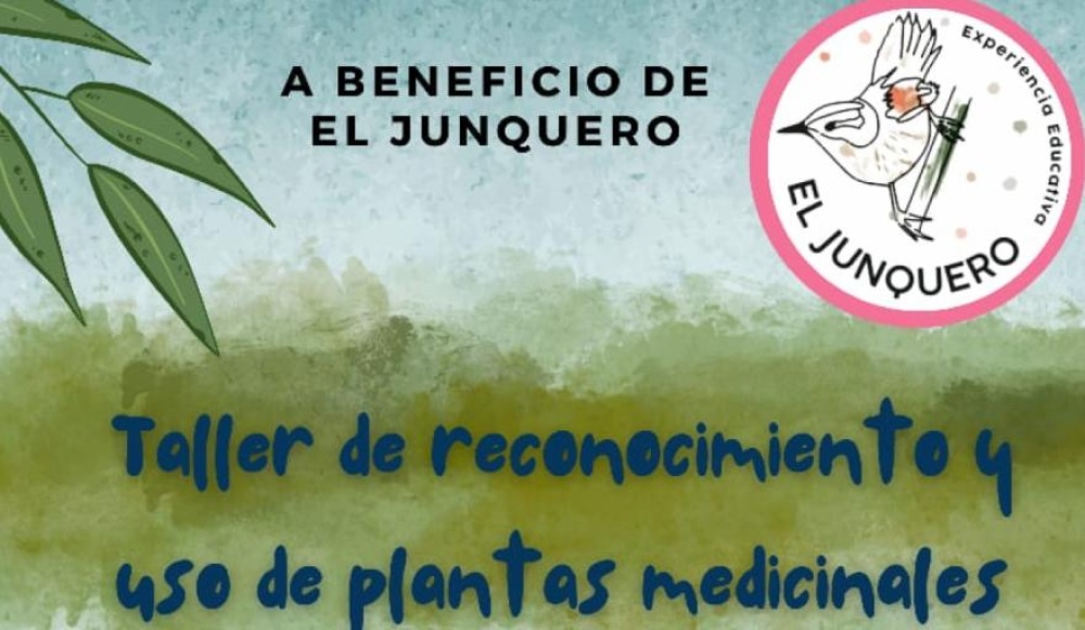 El Junquero propone un taller de reconocimiento de plantas medicinales