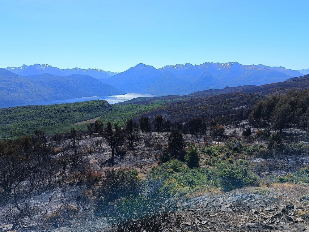 El incendio en el Parque Nacional Los Alerces sigue activo y ya consumió más de 8 mil hectáreas