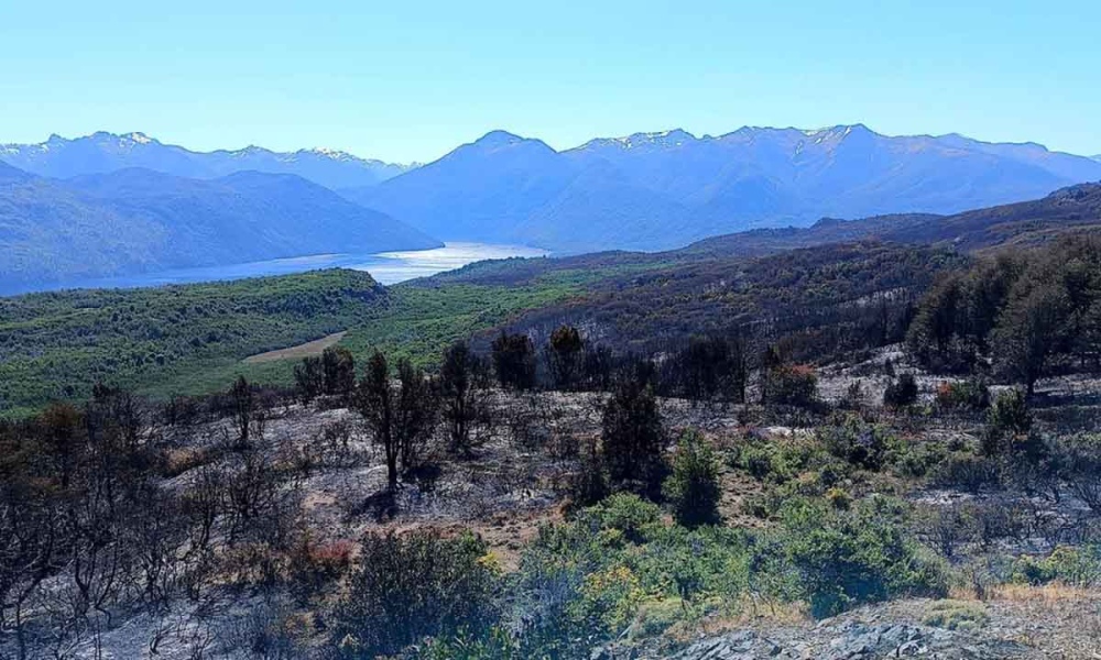 Lograron controlar el incendio del Parque Nacional Los Alerces