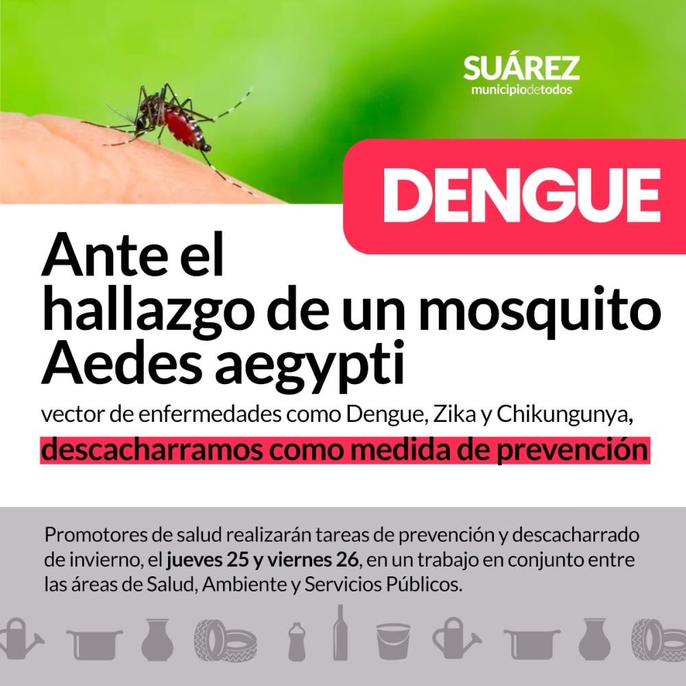 Se confirmó la presencia del mosquito del dengue en Coronel Suárez