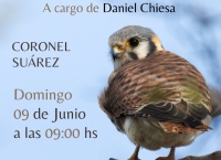 El domingo, 1º salida de avistaje y fotografía de aves de Coronel Suárez