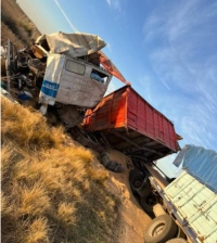 Una suarense perdió la vida en un choque de camiones cerca de Bonifacio
