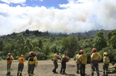 Más de 3100 hectáreas fueron arrasadas por incendios forestales en Los Alerces, Chubut