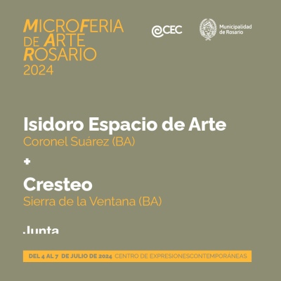 Micro feria de arte Rosario 2024